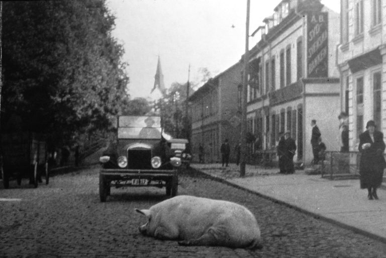 104. Grisen liggande på Storgatan